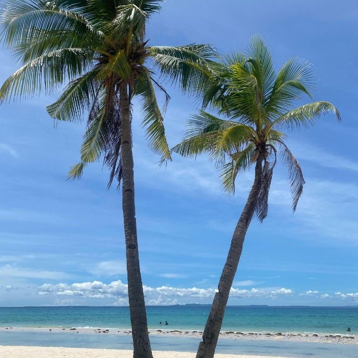 Journey to the Bay of Islands