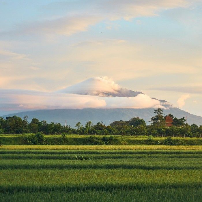 Launceston via Mount Gnomon Farm