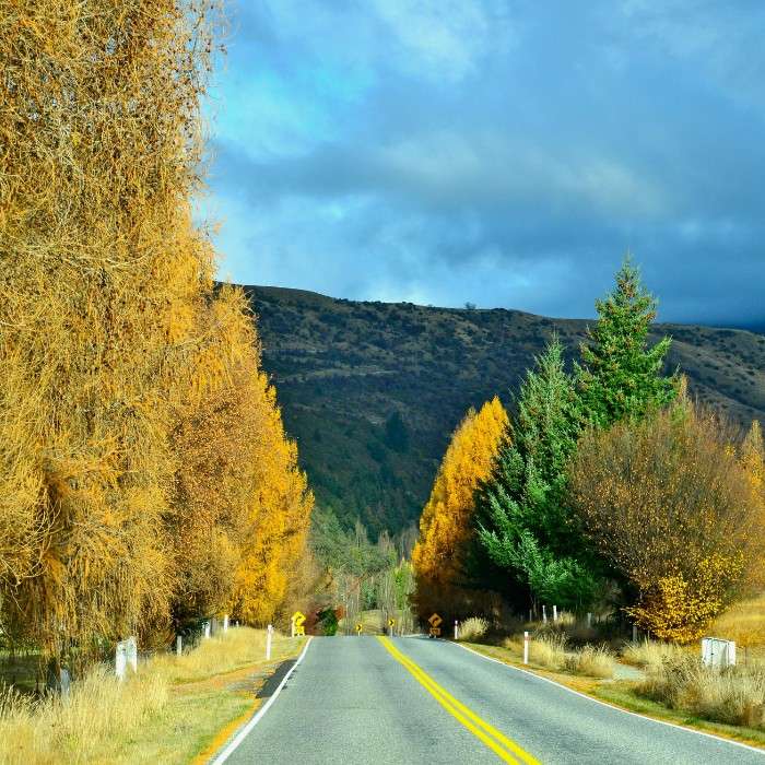 Hobart, Yours to Discover