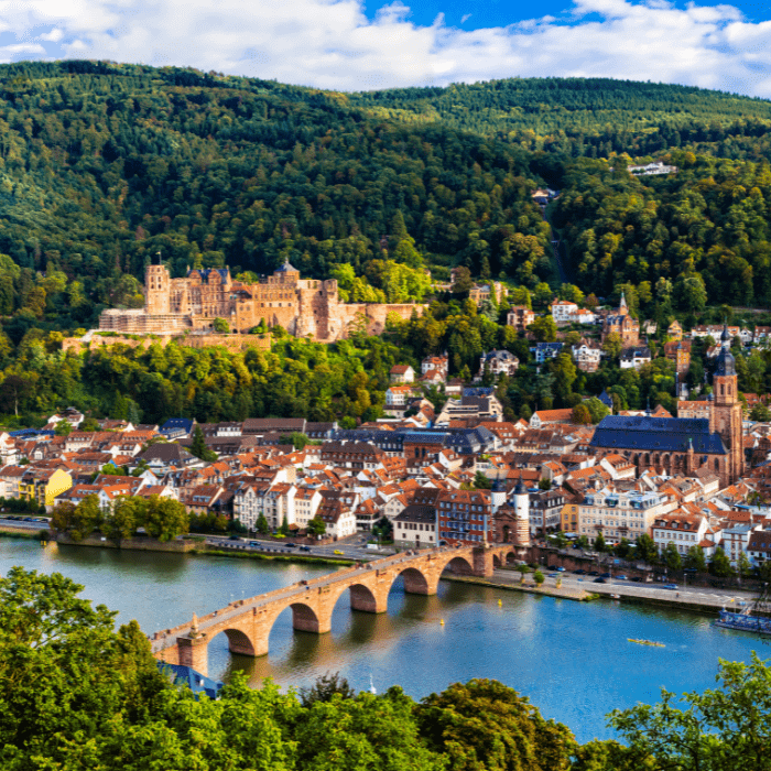 Enjoy a Scenic Cruise in the Rhine Valley