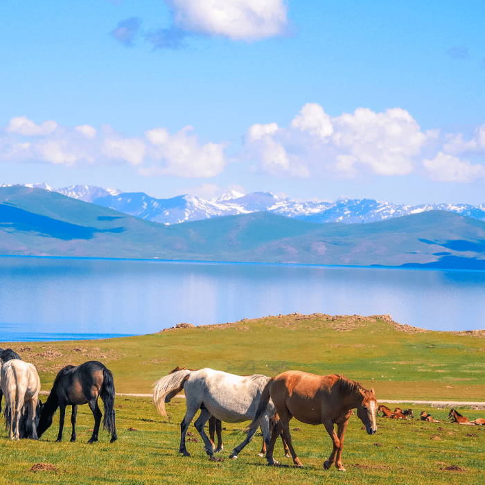 Chon-Kurchak Gorge & Kyrgyz Ethno Experience