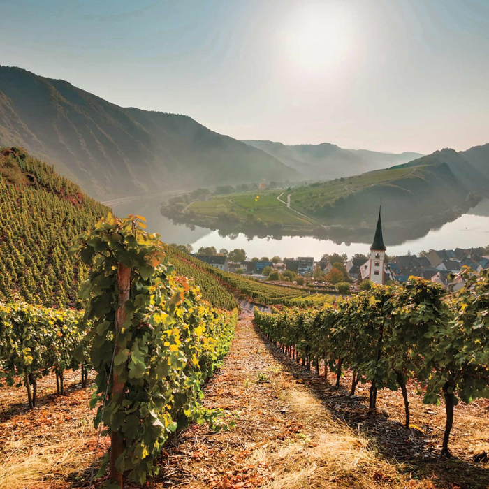 Admire Neuschwanstein Castle and on to Innsbruck