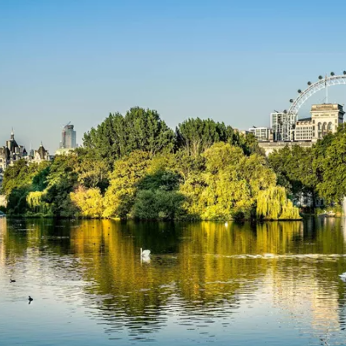 Discover Enchanting Edinburgh