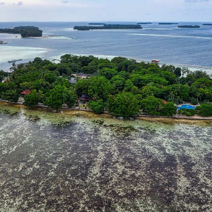 Discover Mackinac Island