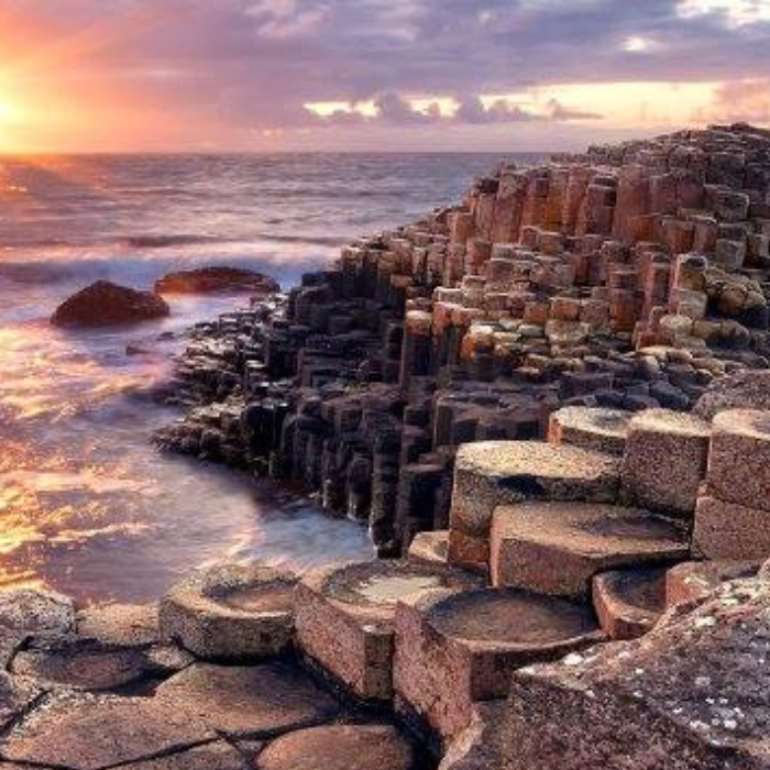 Discover the Sights of Paris