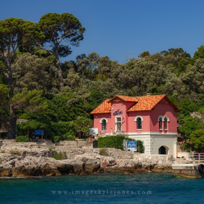 Discover the Sights of Paris