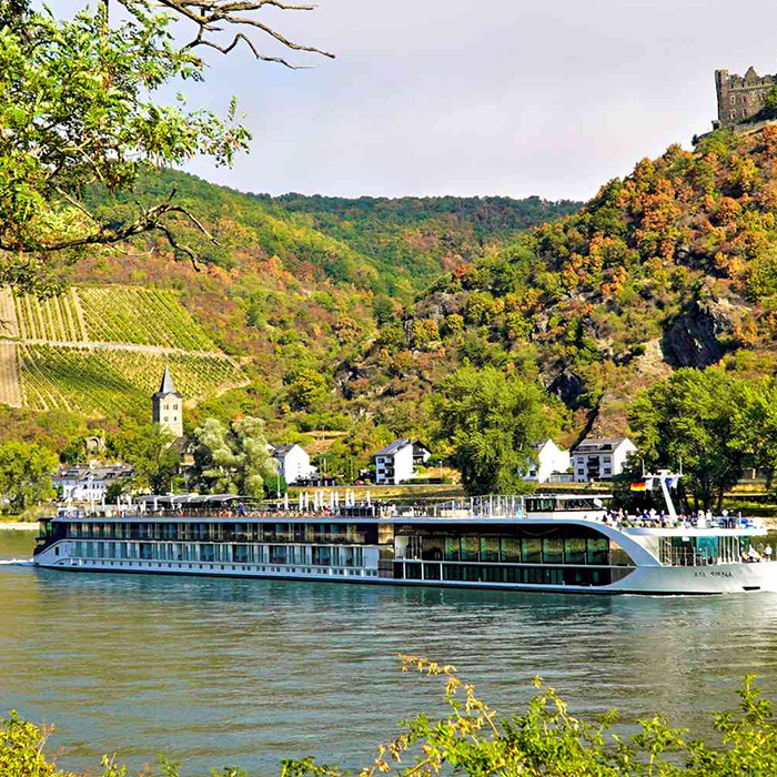 Rhine Valley Scenic Cruise