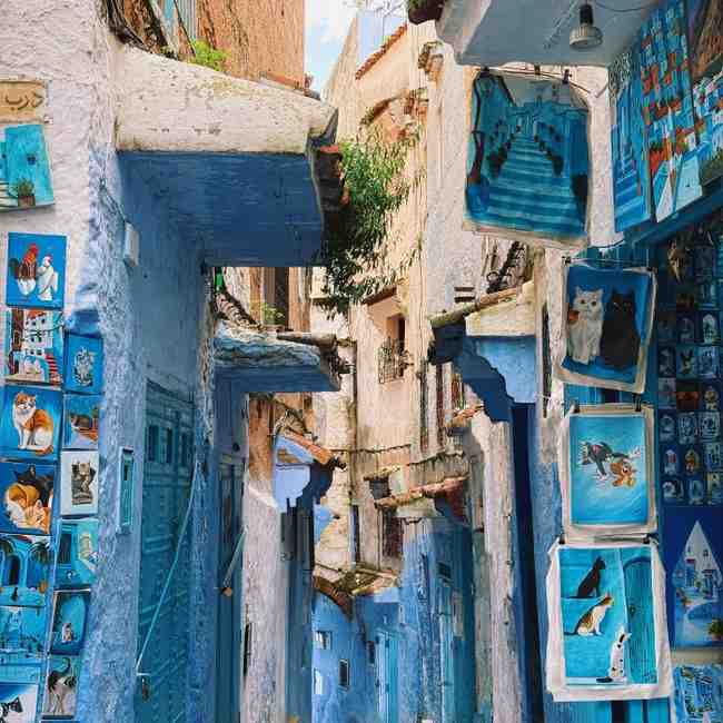  Casablanca and Rabat