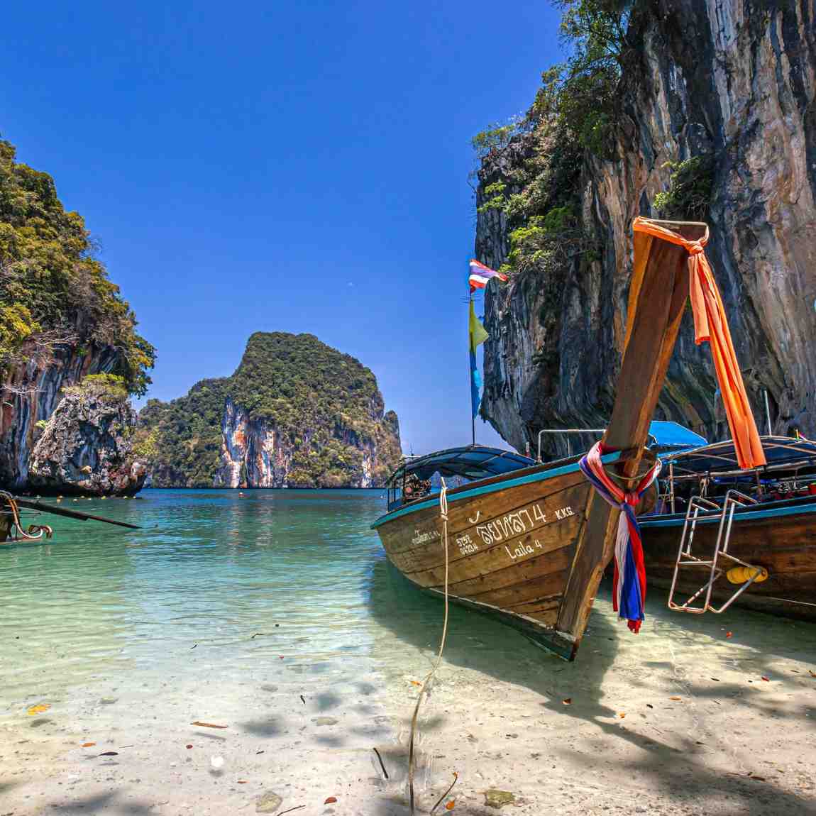 Cruise on Magical Milford Sound