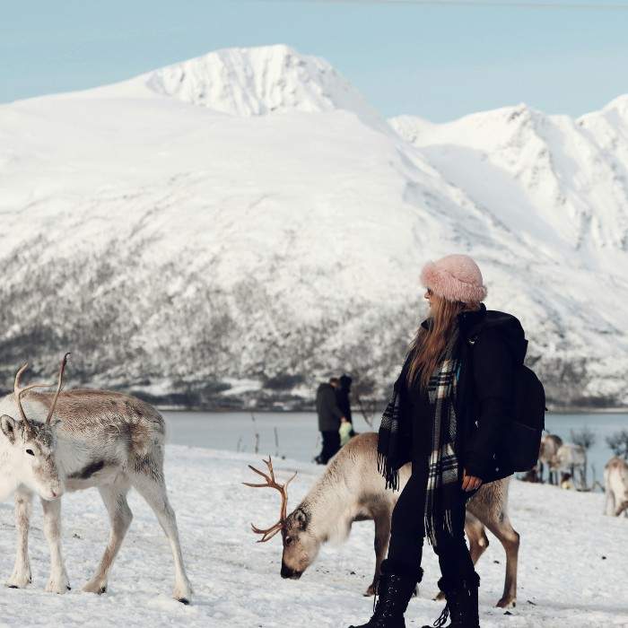 Farewell Switzerland