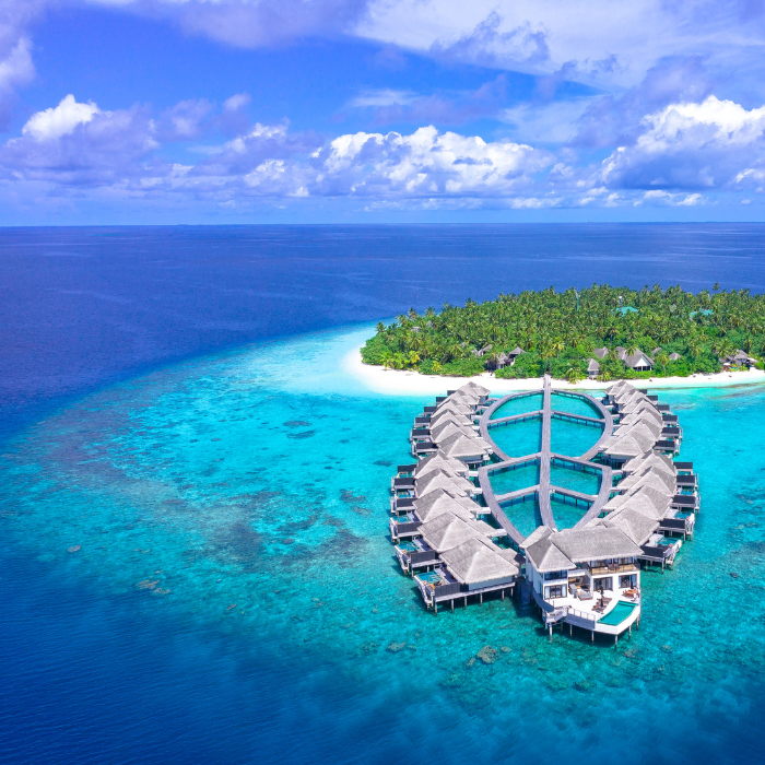 Journey Through Papal Avignon to Lyon