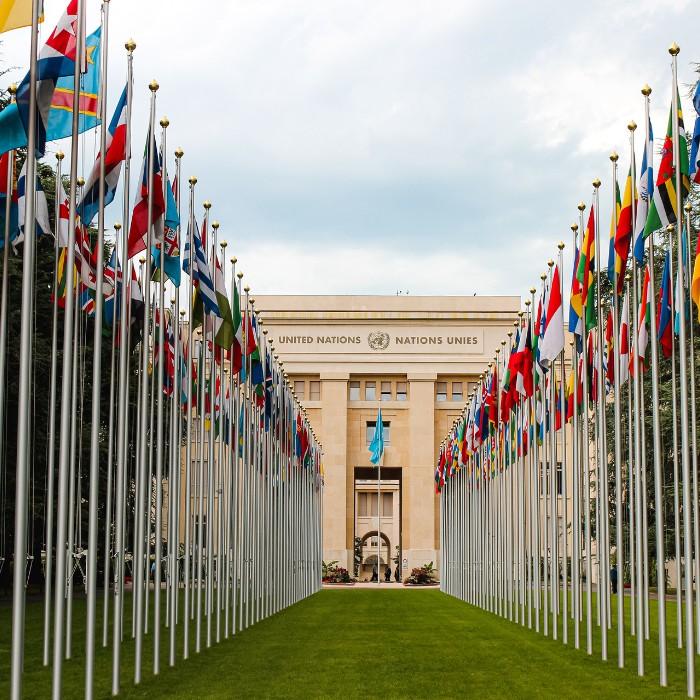 Say Hello to Country Life