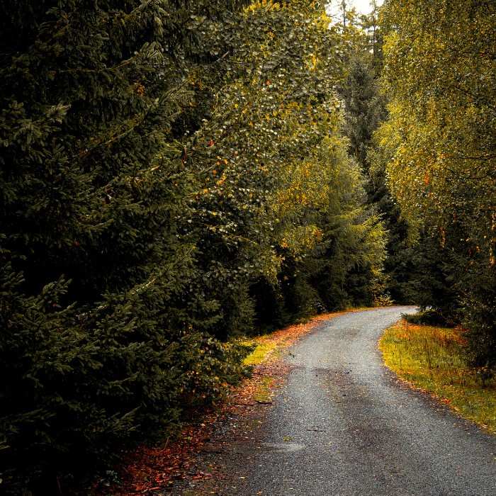 Taste Your Way Through the Barossa