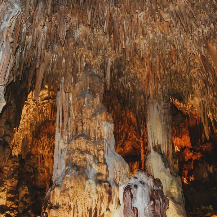 All that Glitters in Waitomo