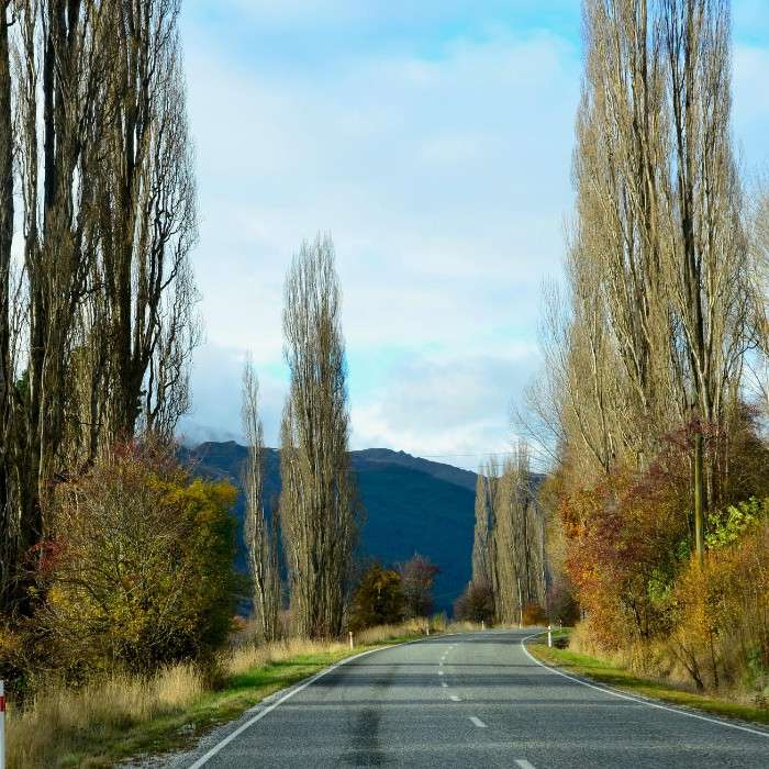 Farewell Christchurch