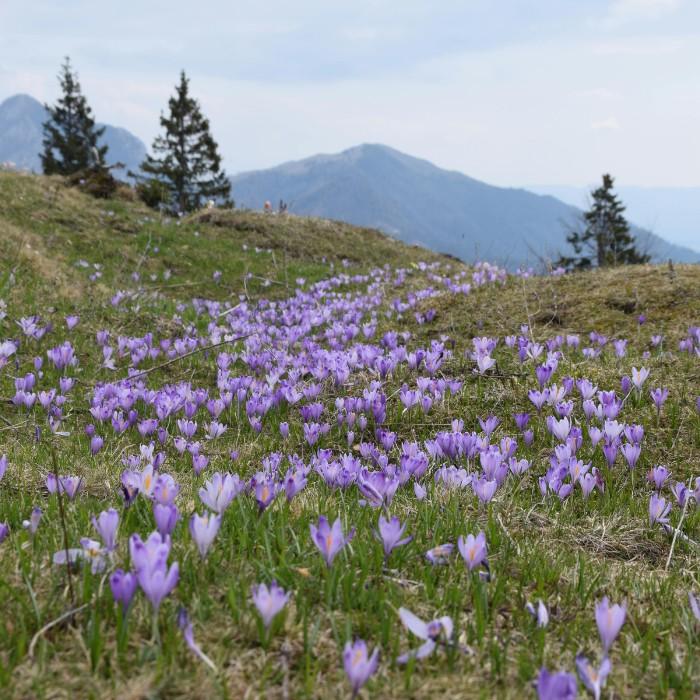 Katherine via Thermal Springs