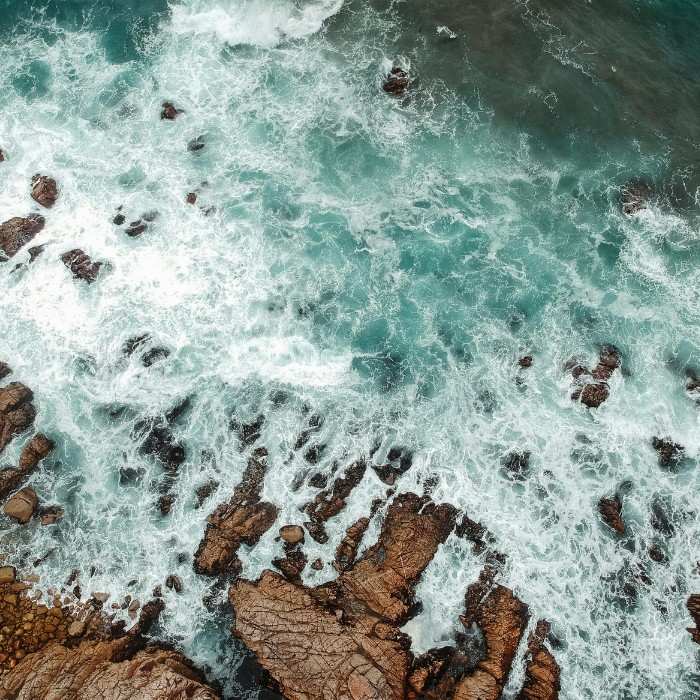 Kaikoura on the Coast