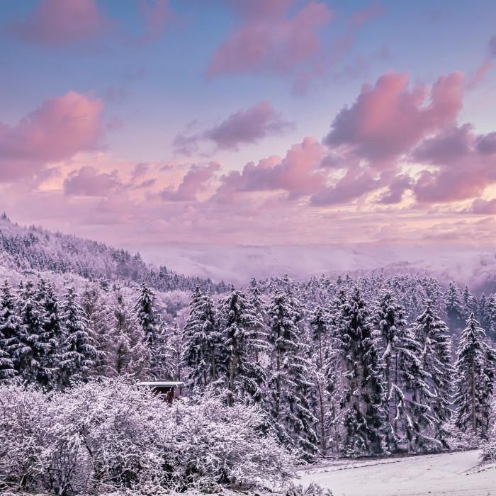 Through Scenic Wonderland to Twizel