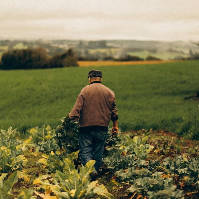 A Day with Local Farmers